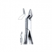 Extracting Forceps American Pattern
